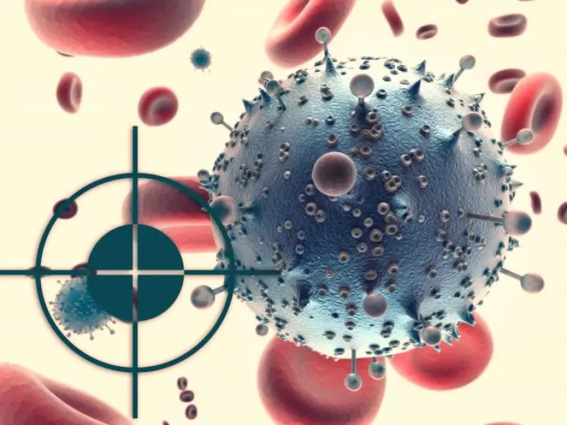 Using cusatuzumab to target CD70 has shown to eliminate acute myeloid leukemia stem cells in humans