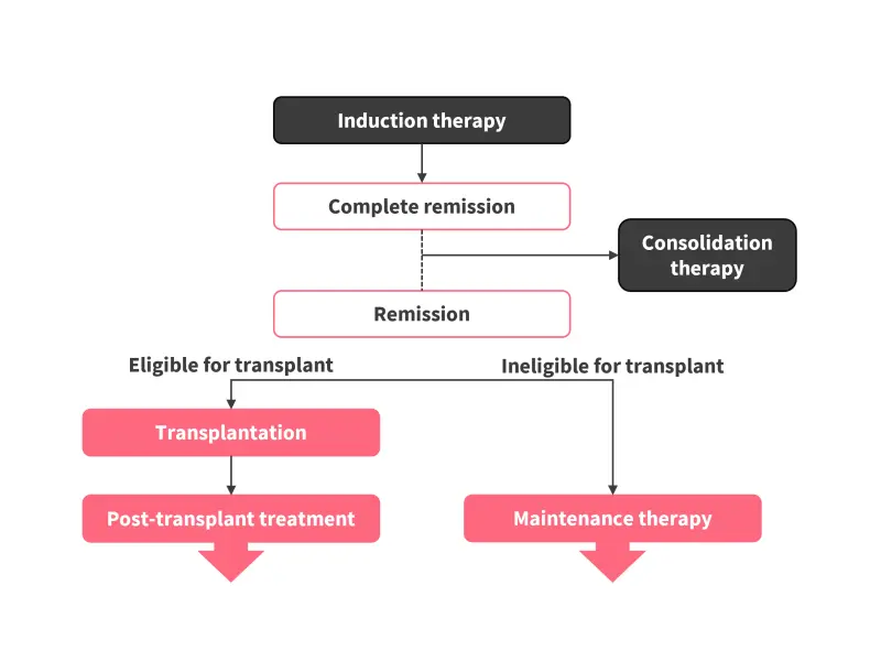 Maintenance therapy in AML: Treatment options and clinical considerations