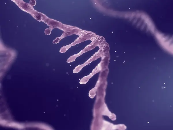 Micro RNAs