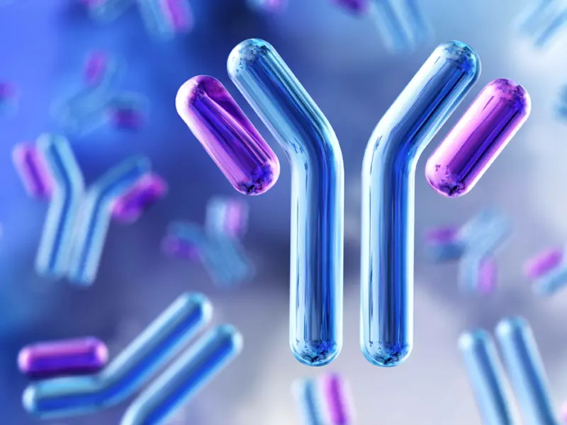 CAMMA-2 Cohort A1: Cevostamab in patients with RRMM and prior BCMA-targeted ADC or CAR T-cell therapy 