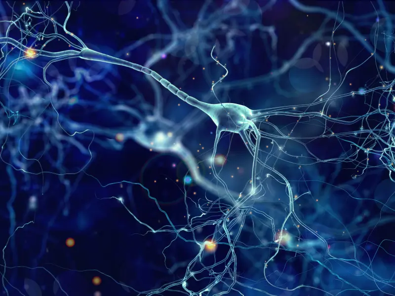 Editorial theme | Neurotoxicity and anti-BCMA agents