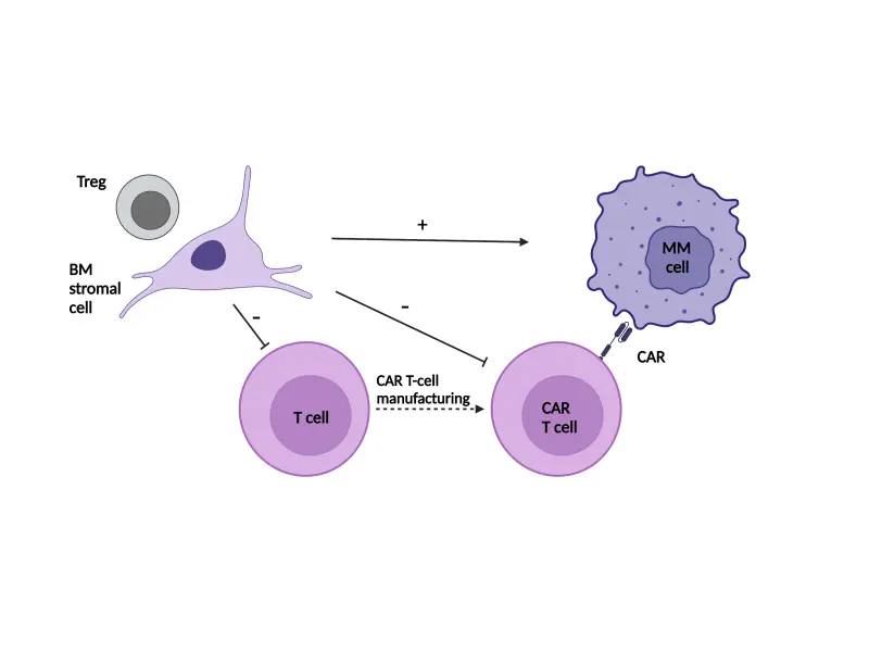 Resistance mechanisms to CAR T-cell therapy