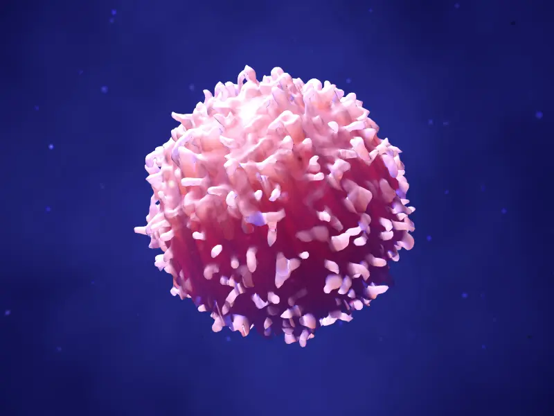 Naive T-cell depletion in allogeneic hematopoietic stem cell transplant: Current progress