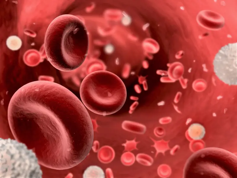 KEYNOTE-087: 2-year follow-up of pembrolizumab in R/R classic Hodgkin lymphoma