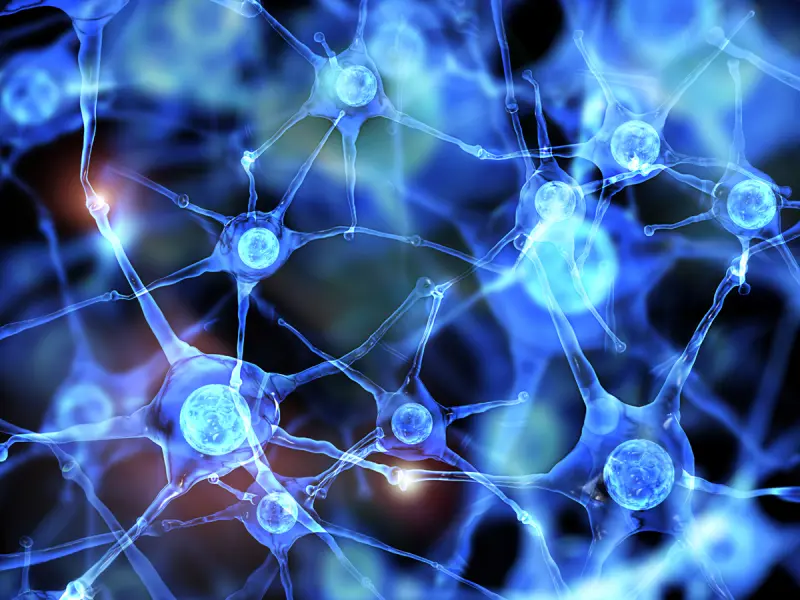 Ibrutinib plus nivolumab for relapsed/refractory CNS lymphoma: Phase II results