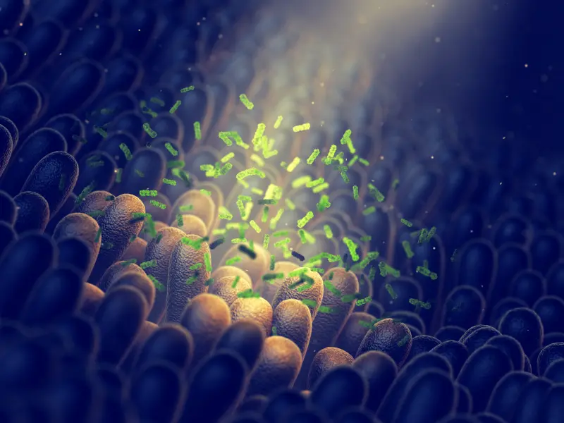 The results of the expanded access program using MaaT013 for steroid-refractory GI GvHD