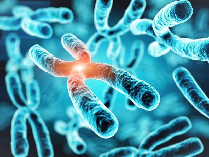 The role of JAK2V617F allele burden in PV