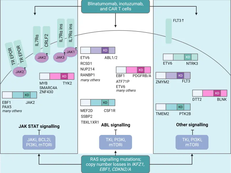 Ph-like ALL: An overview of the genomic landscape, epidemiology, diagnosis, and treatment