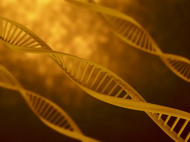 Is WT1 gene expression a biomarker for prognosis and MRD in NK-AML? – a Serbian study