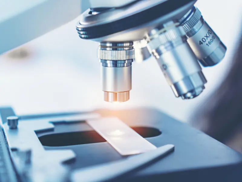 ROCKstar: Belumosudil in chronic GvHD, an update from ASH 2021