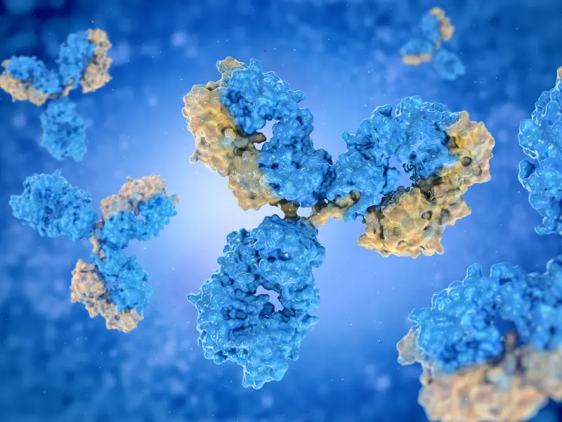 Bispecific antibodies and BiTEs currently in development for RRMM