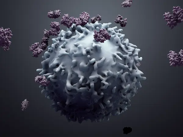 Antibody therapy