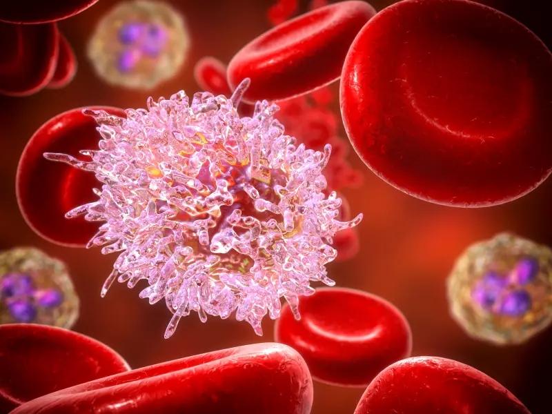 Combination therapies for CLL: BTKi + BCL2i