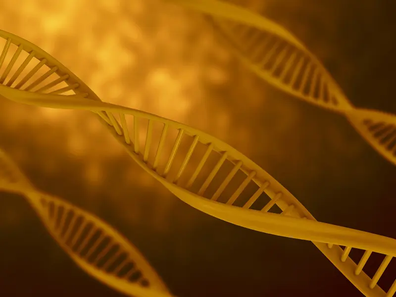 Biomarkers plus interim PET scan helps predict patient treatment outcome
