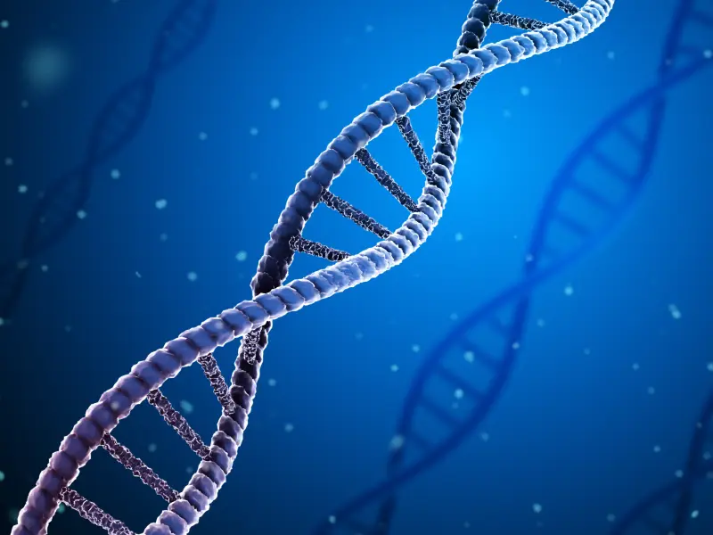 The impact of IDH2 mutant allele (R140/R172) on survival outcomes with enasidenib: An update from the IDHENTIFY trial