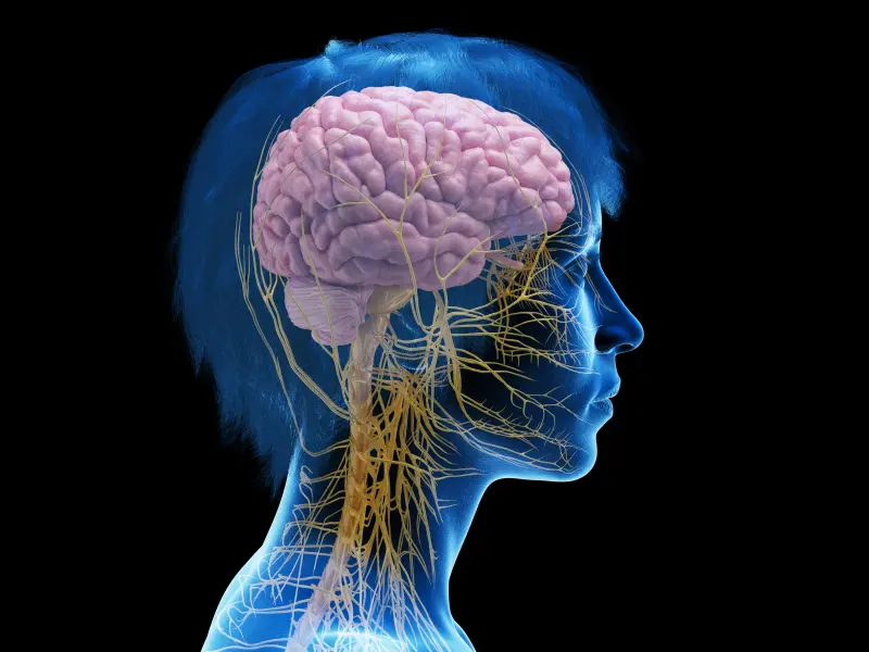 QoL in MPN: physical, psychological, and social impacts   