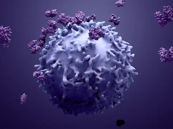 Antibody therapy
