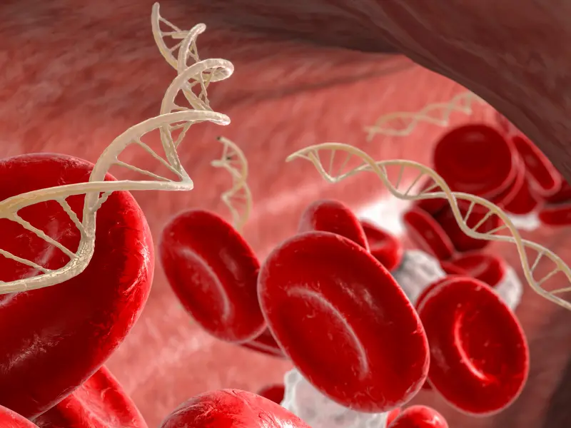 TIBURON study: Donor-derived and total cfDNA across lung allograft injury states