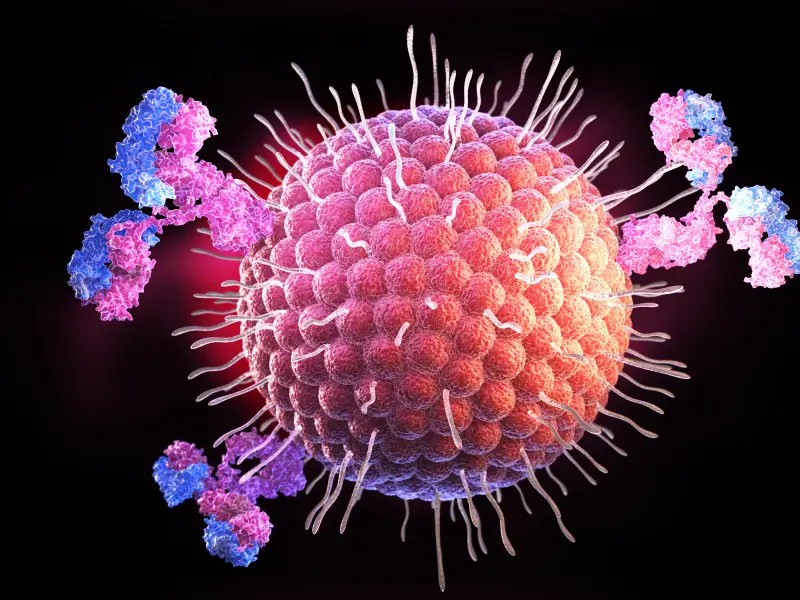 An overview of developments in immune-based therapies in the treatment of AML and MDS: Updates from #ASCO23