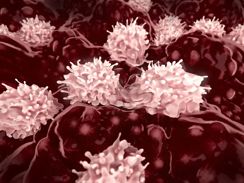 MRD status as a predictor of survival outcomes in patients with ALL undergoing allo-HSCT in CR2 or later