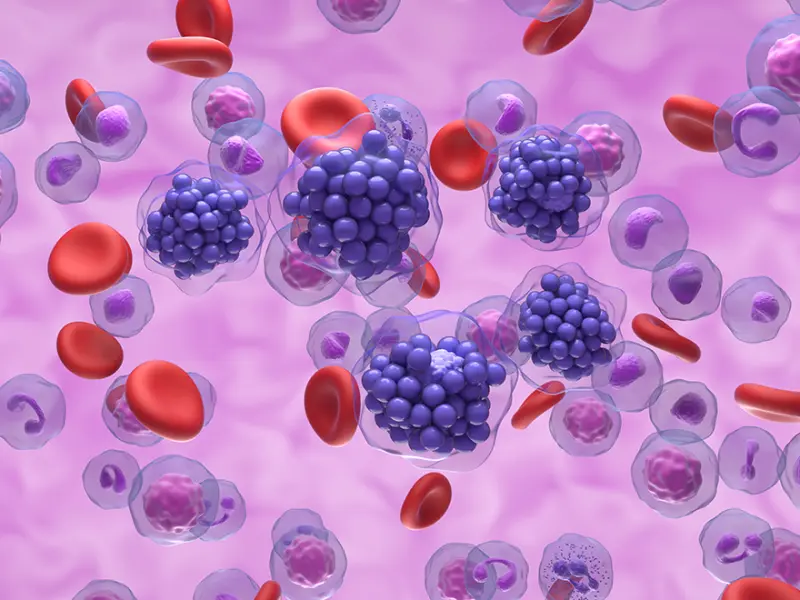 Brentuximab vedotin plus lenalidomide and rituximab for R/R DLBCL: Results from the ECHELON-3