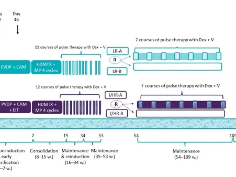 Omission of vincristine/dexamethasone pulse therapy does not adversely affect outcome in low-risk pediatric ALL