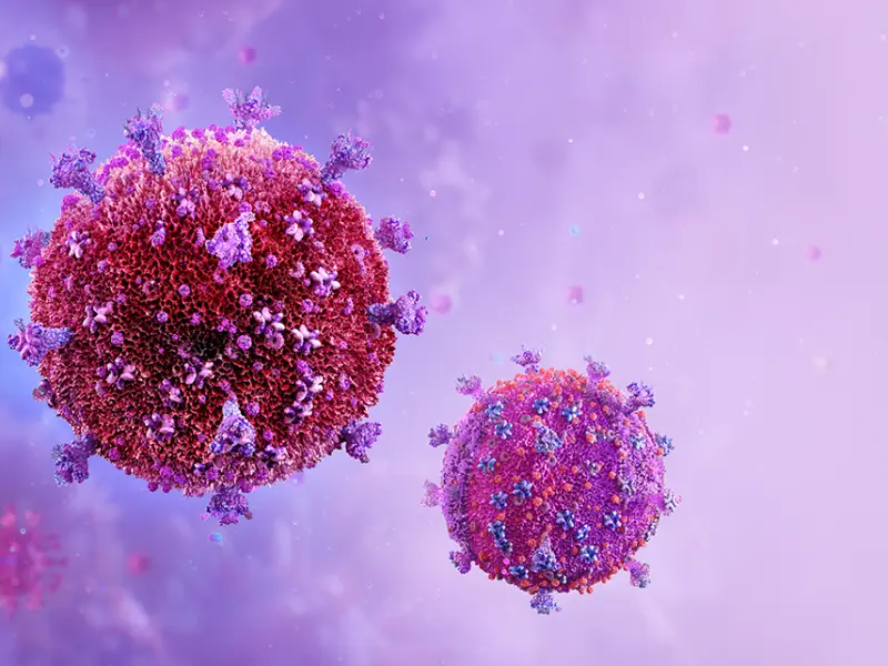 HOPE in Action KT: Infections after HIV D+R+ kidney transplantation
