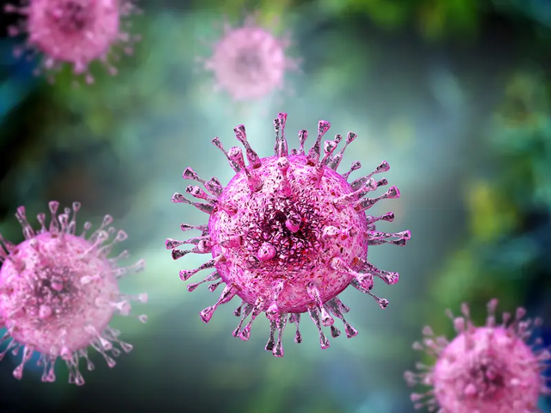 SOLSTICE: Maribavir for refractory CMV infection in SOT recipients