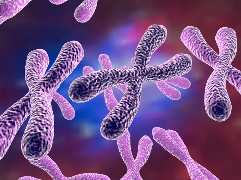 TKI maintenance therapy post-allogeneic HCT improves outcomes in patients with Ph+ ALL