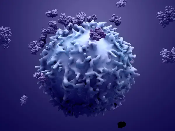Antibody therapy