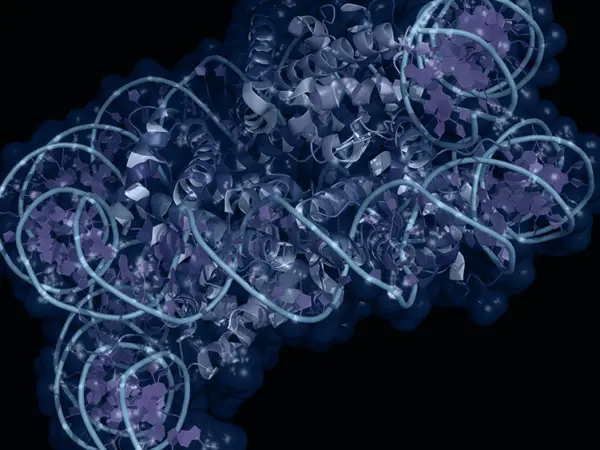 Histone modifiers