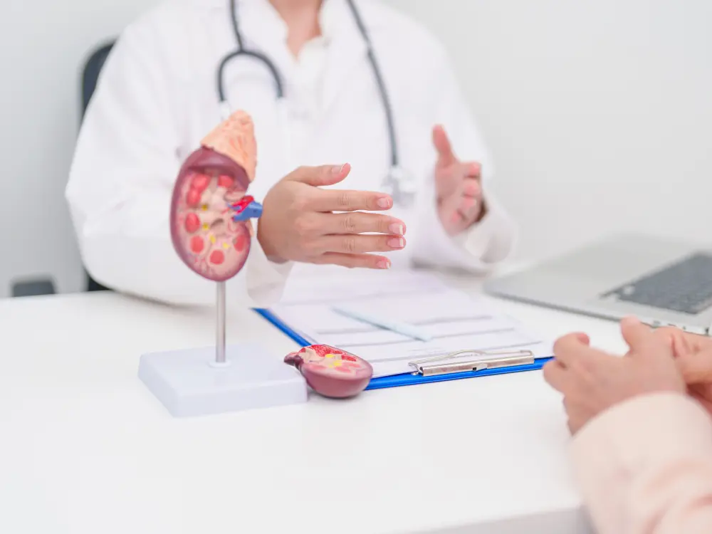 Belimumab + MMF in patients with LN: BLISS-LN trial post hoc analysis