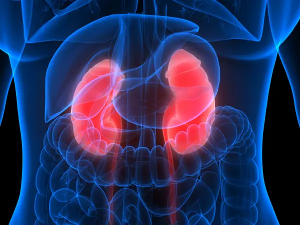 Quality indicators for lupus nephritis based on 2025 EULAR recommendations