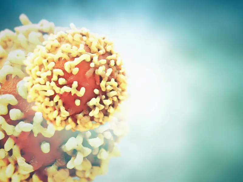 Modified post-transplant cyclophosphamide (PT-CY) regimen provides protection against GvHD with low toxicity in AML