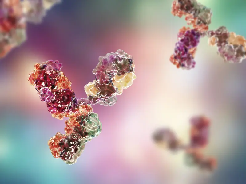 Findings from the MagnetisMM-1 trial of elranatamab in patients with RRMM: An update from ASH 2021