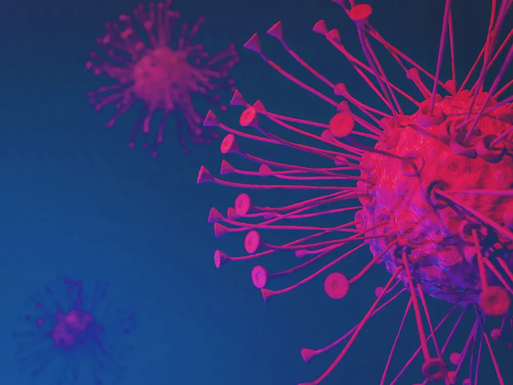 CD19 CAR T-cell therapy for older patients with B-ALL: Phase I trial results