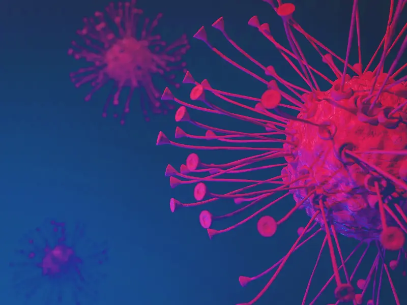 CD19 CAR T-cell therapy for older patients with B-ALL: Phase I trial results