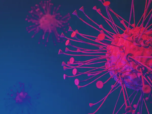 CD19 CAR T-cell therapy for older patients with B-ALL: Phase I trial results