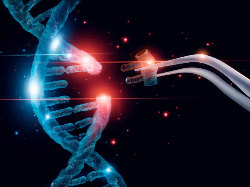 N-glycosylation is an essential pathway in CALR-mutant MPN