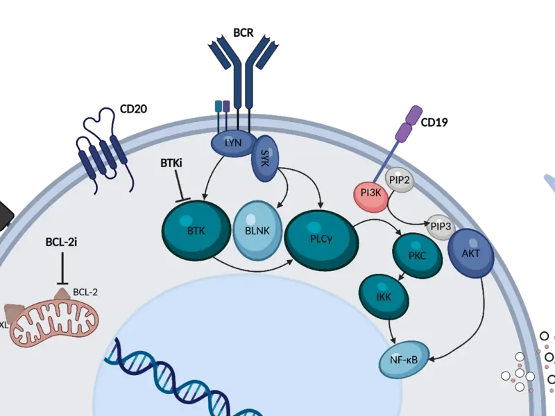 BTKi for patients with CLL: Class effects, guidelines, and real-world ...