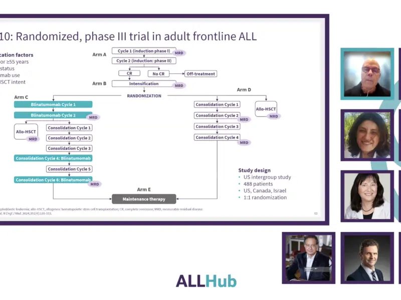 Consolidation therapy in newly diagnosed adult patients with Ph-negative B-cell ALL