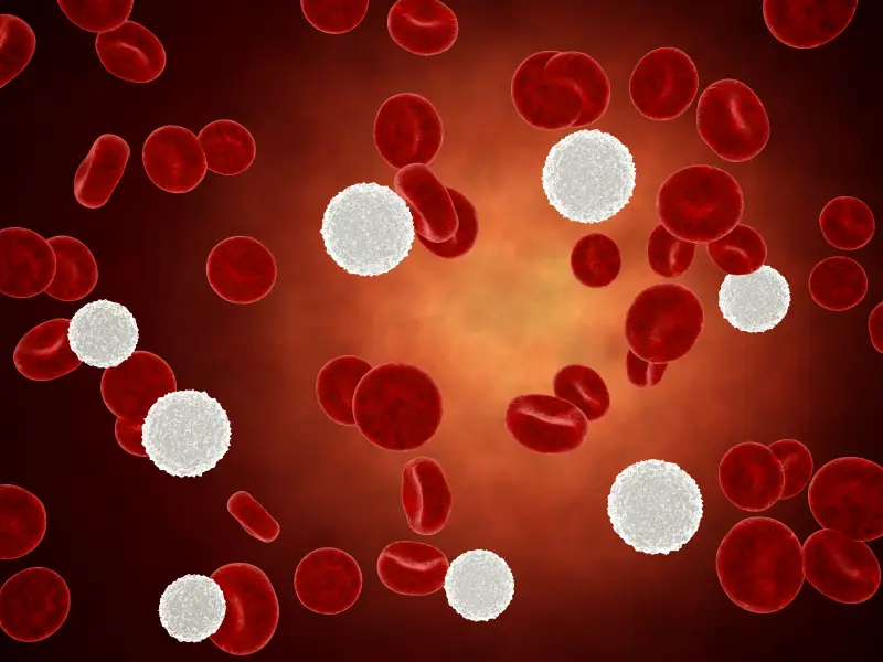 The FDA grants SY-1425 Orphan Drug Designation for the treatment of AML