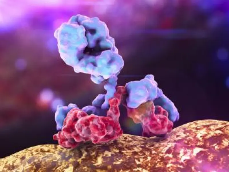 Efficacy of tocilizumab add-on treatment to prevent acute GvHD after HLA-matched allogeneic stem cell transplantation: results from a phase III study