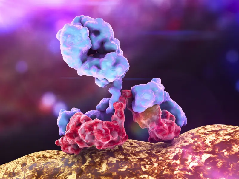 Bispecific antibodies in lymphoma, myeloma, and acute myeloid leukemia