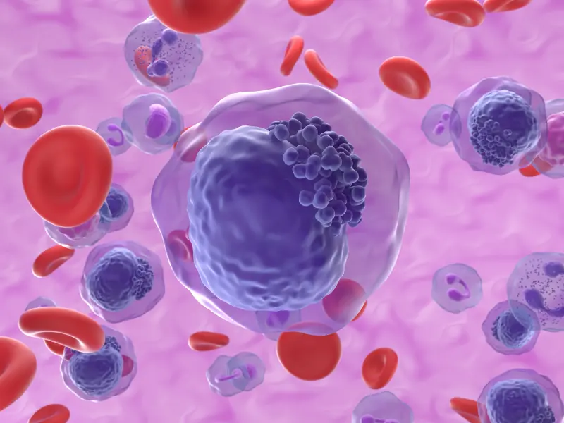 Inhibition of the menin-KMT2A interaction in AML: The AUGMENT-101 and KOMET-001 trials