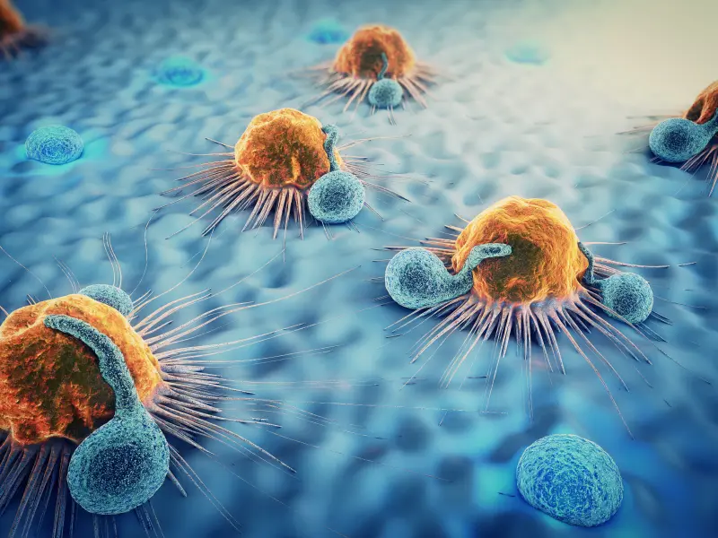 Real-world efficacy of CAR T cells for posttransplant relapse in patients with B-ALL