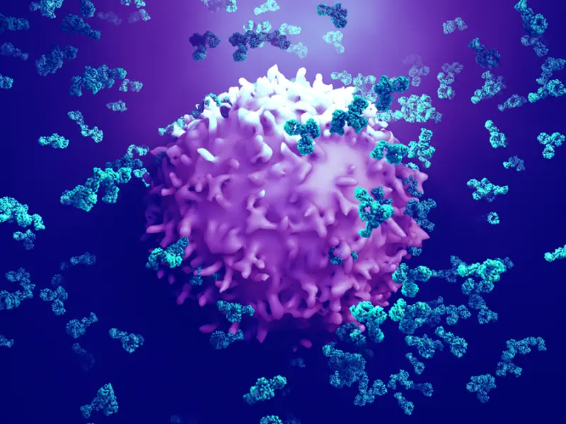Epcoritamab for patients with R/R FL: Results from EPCORE NHL-1 trial