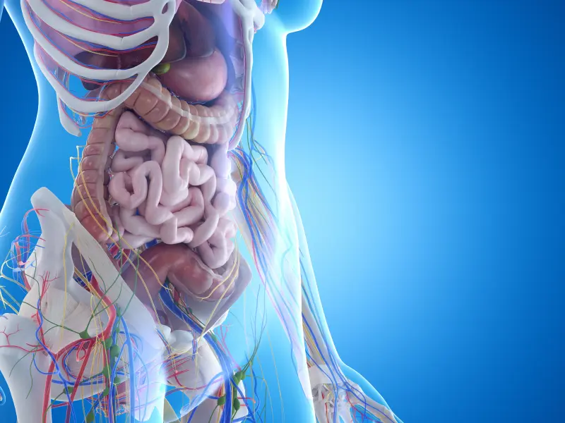 Editorial theme | Pathogenesis and management of splanchnic vein thrombosis in MPN